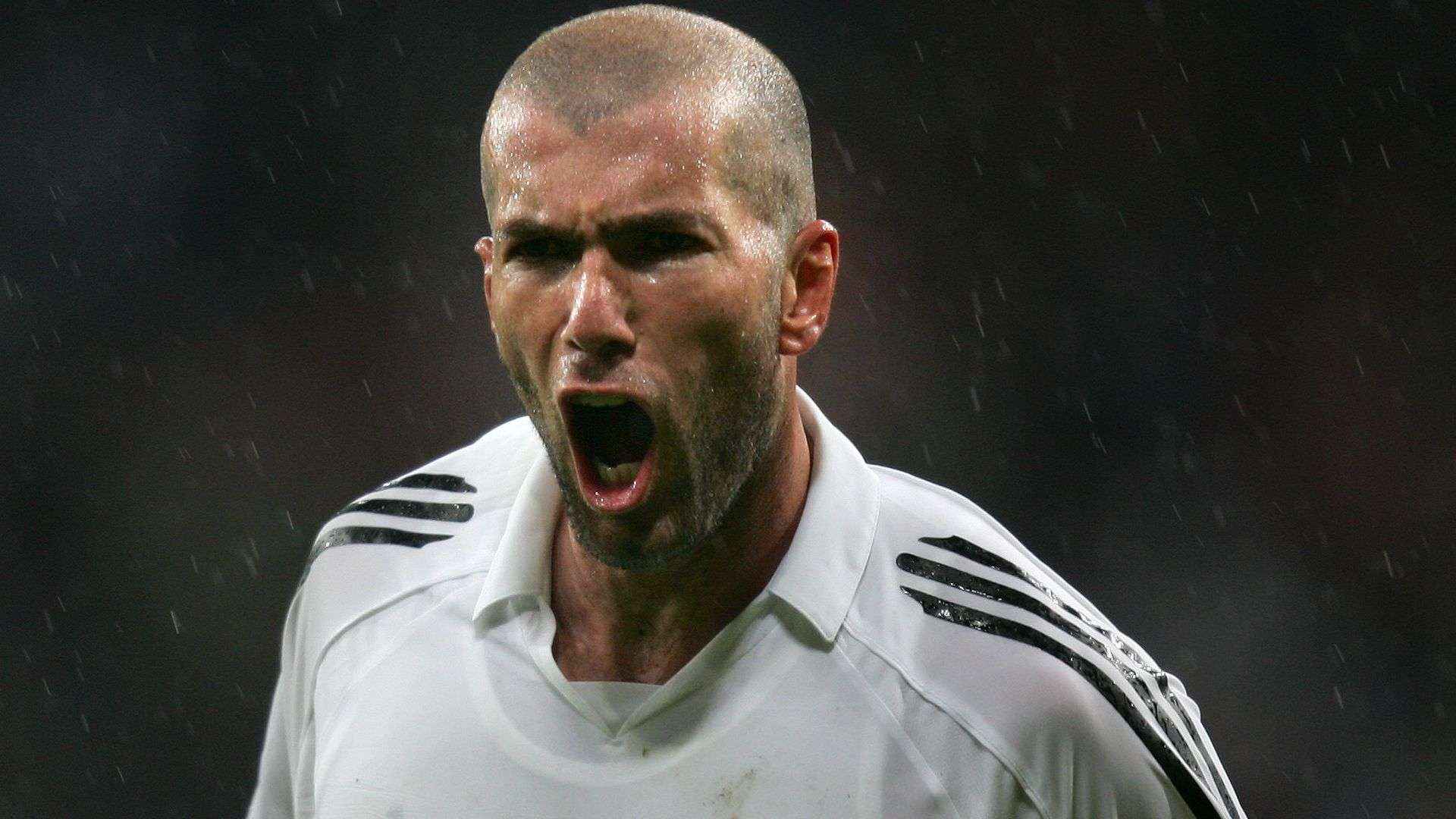 精神的完美 精神的完美