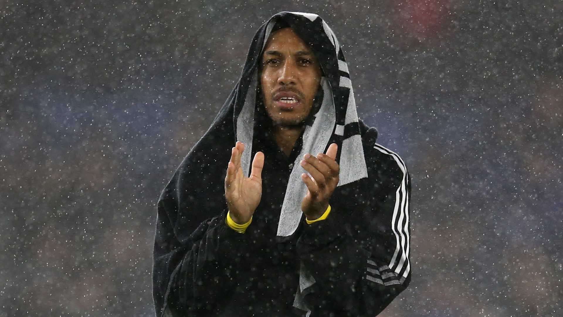 让我们一探 让我们一探