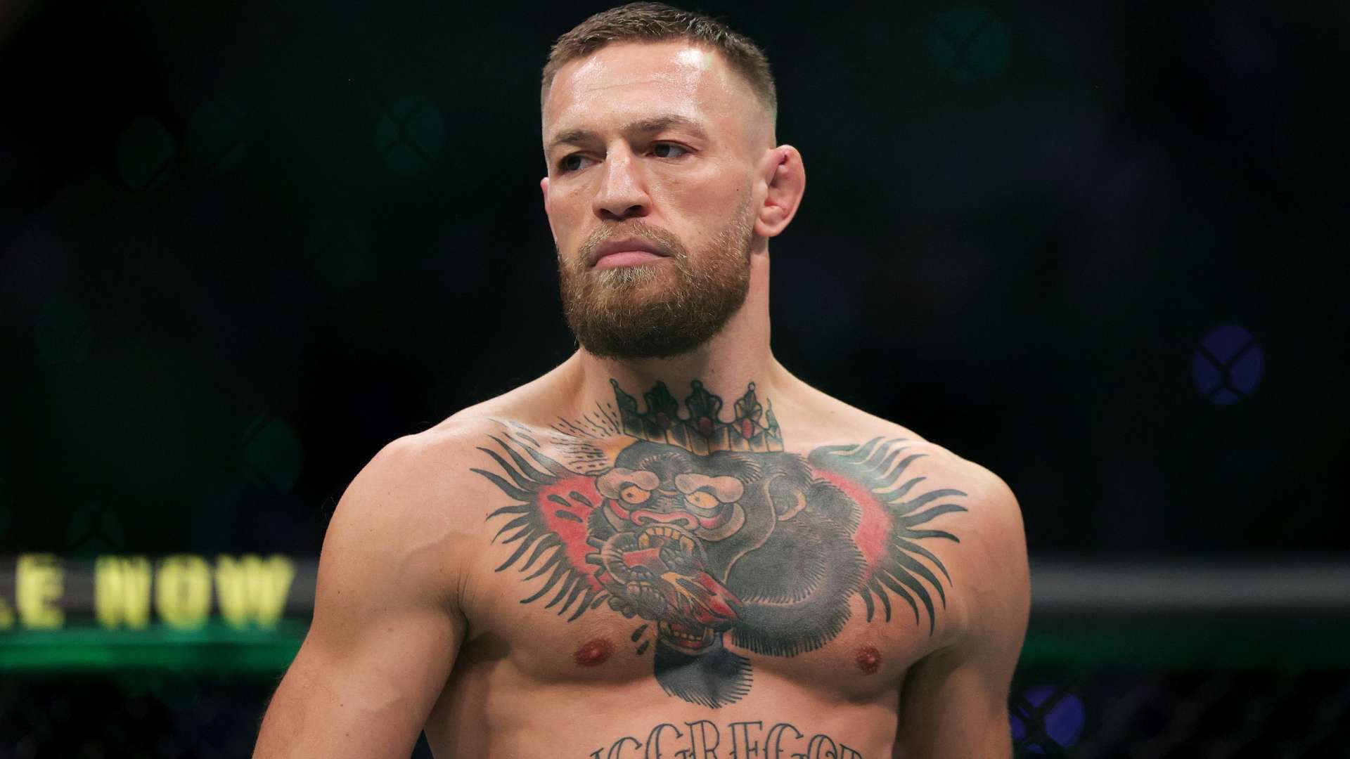 队的实力对 队的实力对